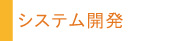 システム開発